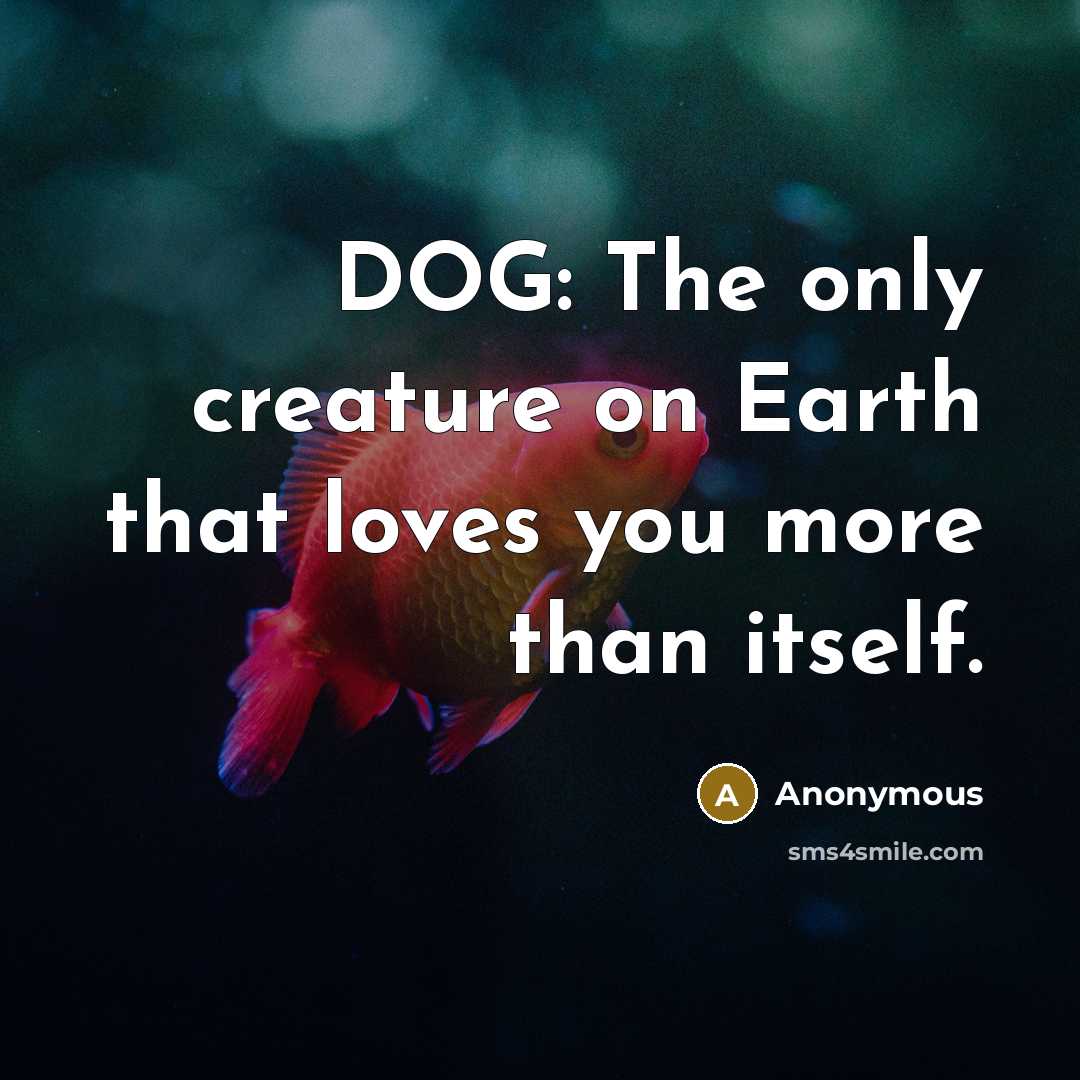 “DOG: The only creature on Earth that loves you more than itself.” quote by Anonymous