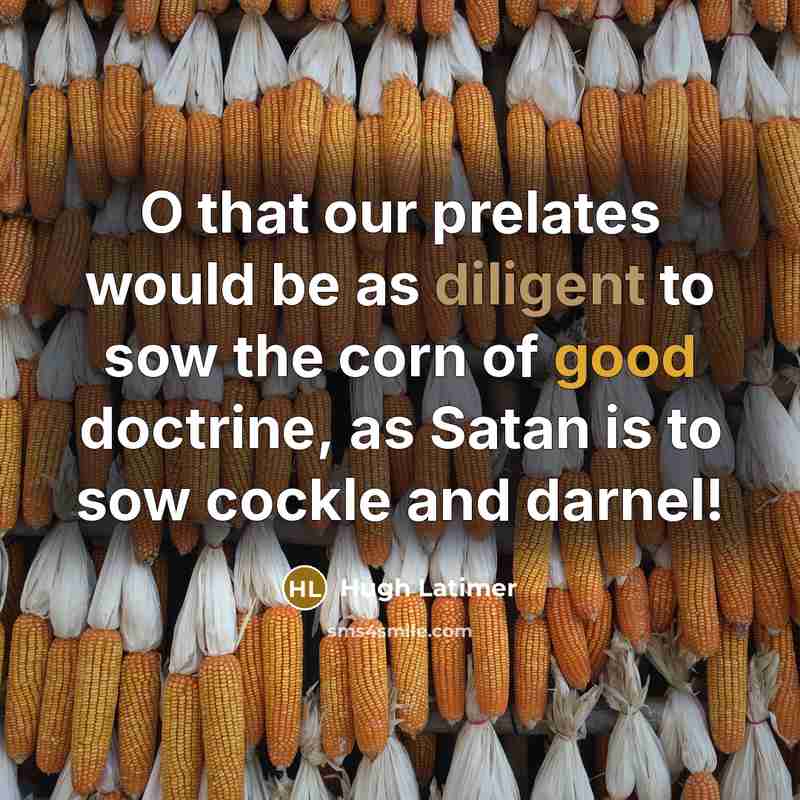 “O that our prelates would be as diligent to sow the corn of good doctrine, as Satan is to sow cockle and darnel!” quote by Hugh Latimer