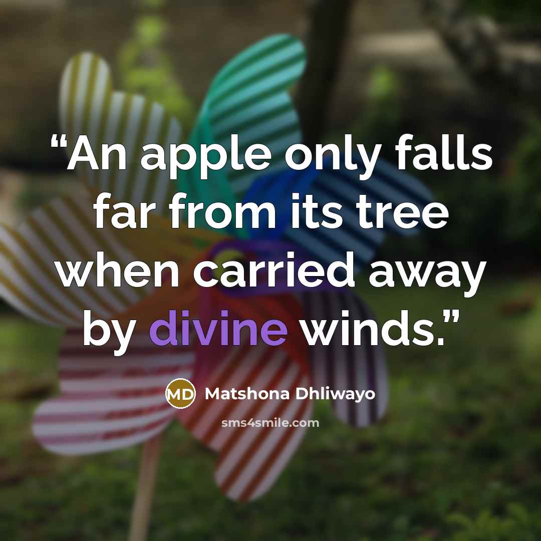 “An apple only falls far from its tree when carried away by divine winds.” quote by Matshona Dhliwayo