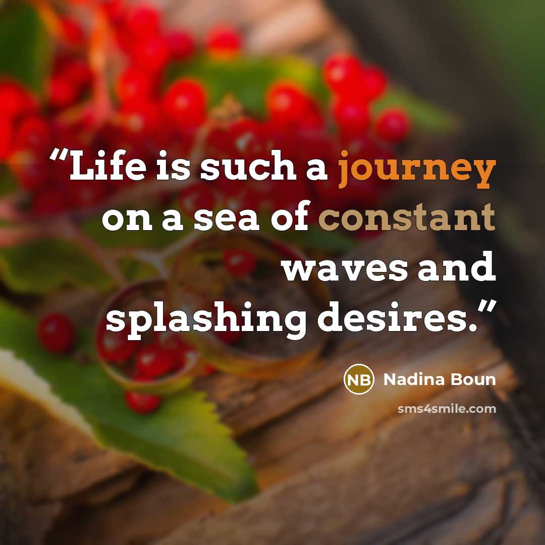 “Life is such a journey on a sea of constant waves and splashing desires.” quote by Nadina Boun