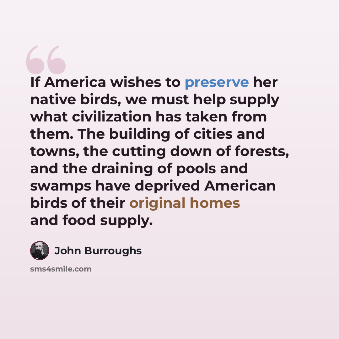 “If America wishes to preserve her native birds, we must help supply what civilization has taken from them. The building of cities and towns, the cutting down of forests, and the draining of pools and swamps have deprived American birds of their original homes and food supply.” quote by John Burroughs