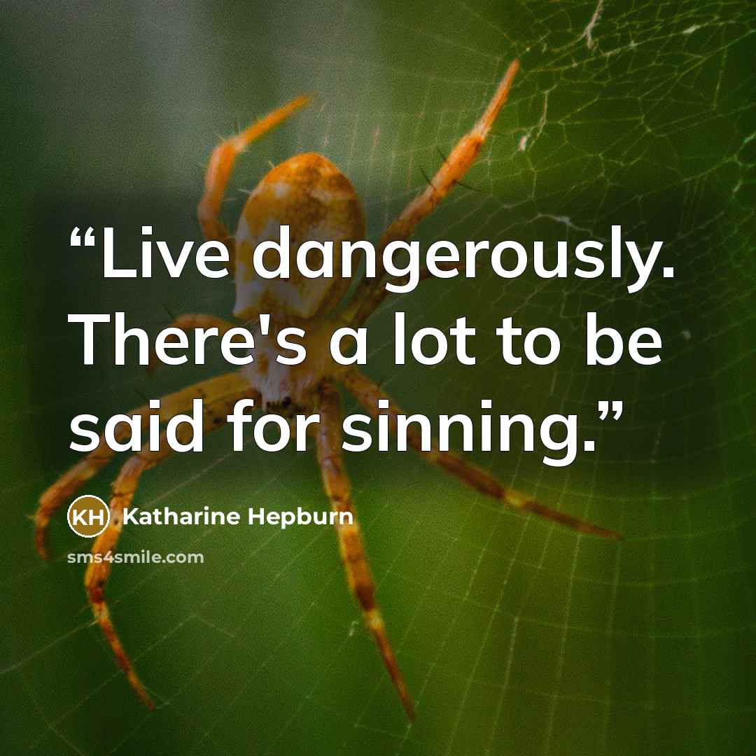 “Live dangerously. There's a lot to be said for sinning.” quote by Katharine Hepburn
