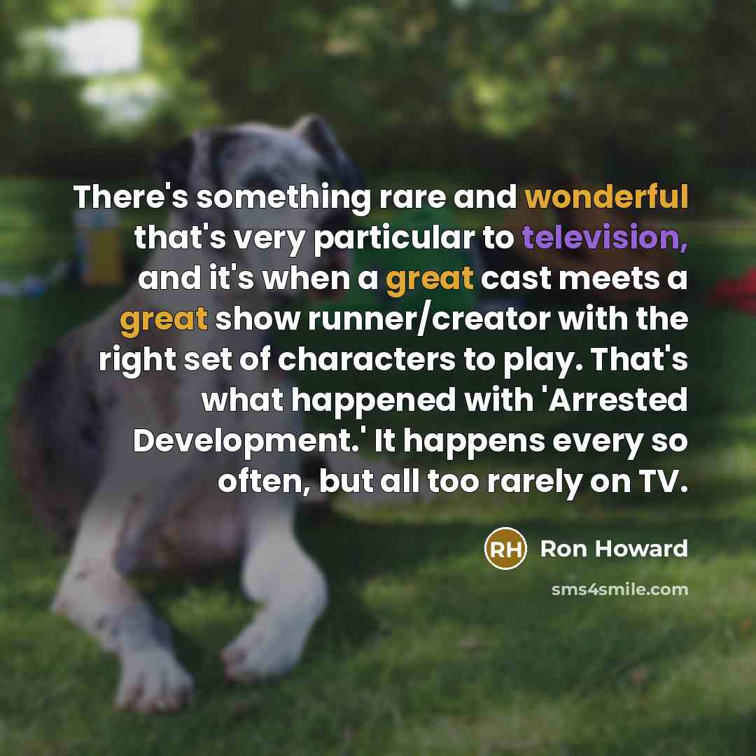 “There's something rare and wonderful that's very particular to television, and it's when a great cast meets a great show runner/creator with the right set of characters to play. That's what happened with 'Arrested Development.' It happens every so often, but all too rarely on TV.” quote by Ron Howard