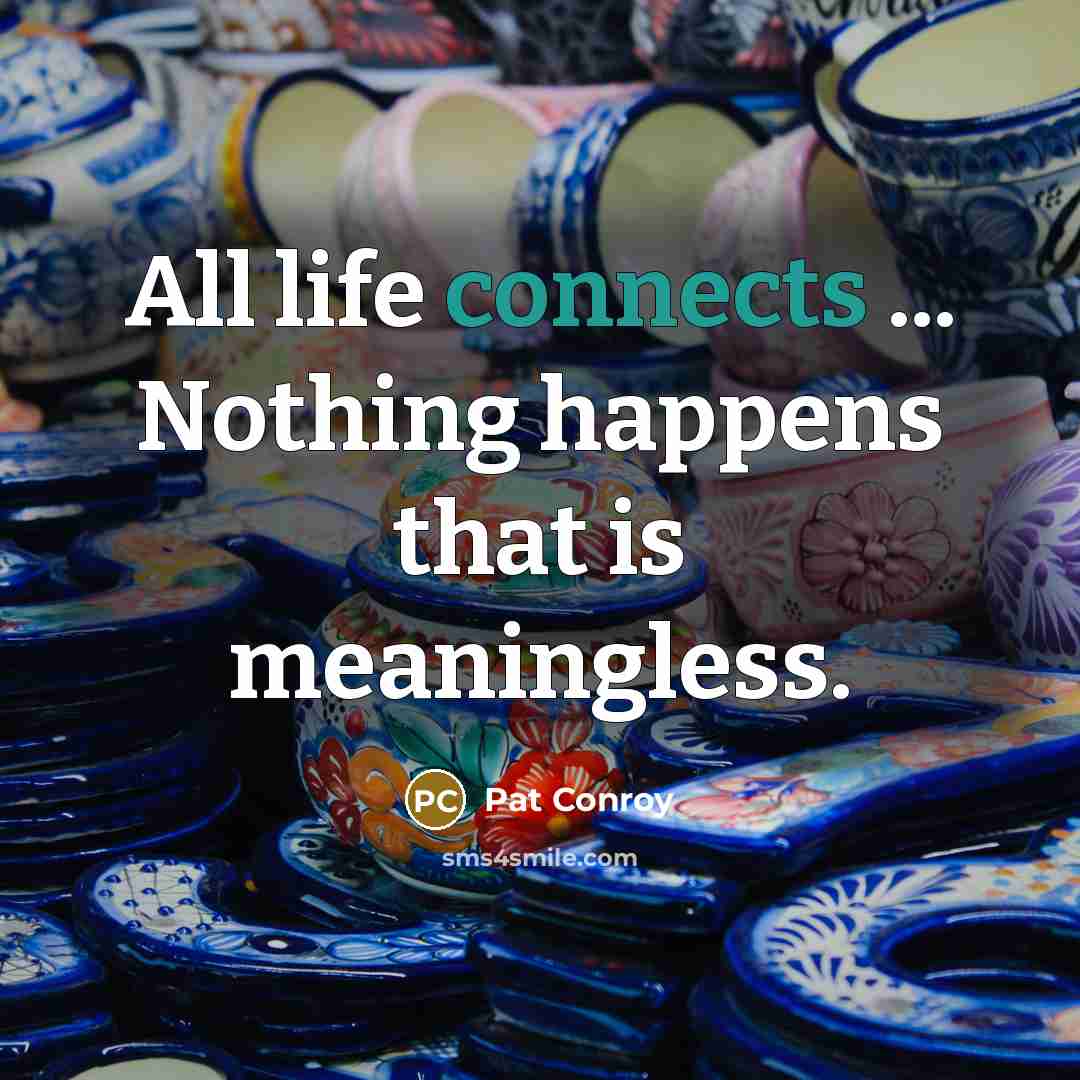 “All life connects ... Nothing happens that is meaningless.” quote by Pat Conroy