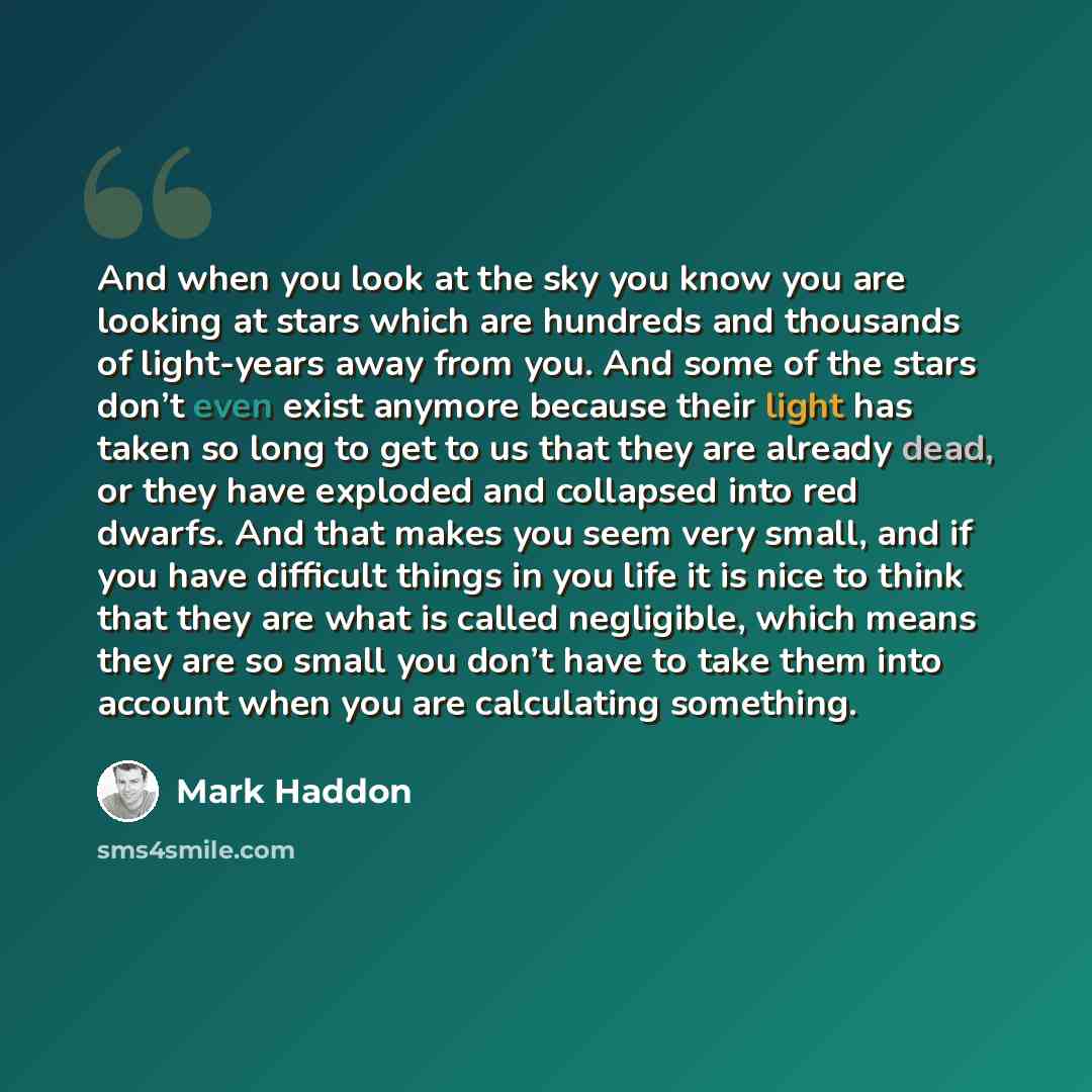 “And when you look at the sky you know you are looking at stars which are hundreds and thousands of light-years away from you. And some of the stars don’t even exist anymore because their light has taken so long to get to us that they are already dead, or they have exploded and collapsed into red…” quote by Mark Haddon