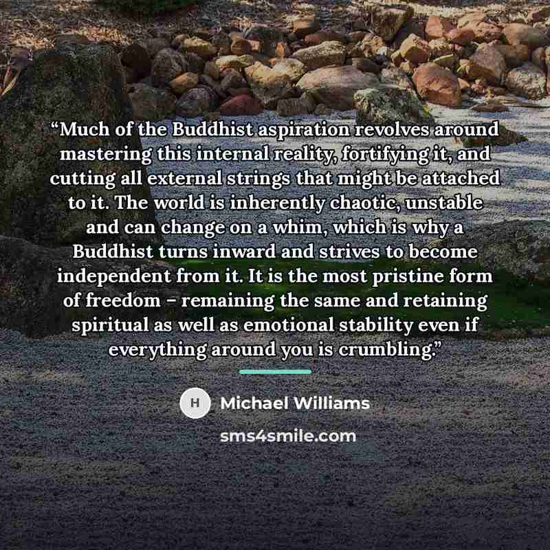 “Much of the Buddhist aspiration revolves around mastering this internal reality, fortifying it, and cutting all external strings that might be attached to it. The world is inherently chaotic, unstable and can change on a whim, which is why a Buddhist turns inward and strives to become independent…” quote by Michael Williams