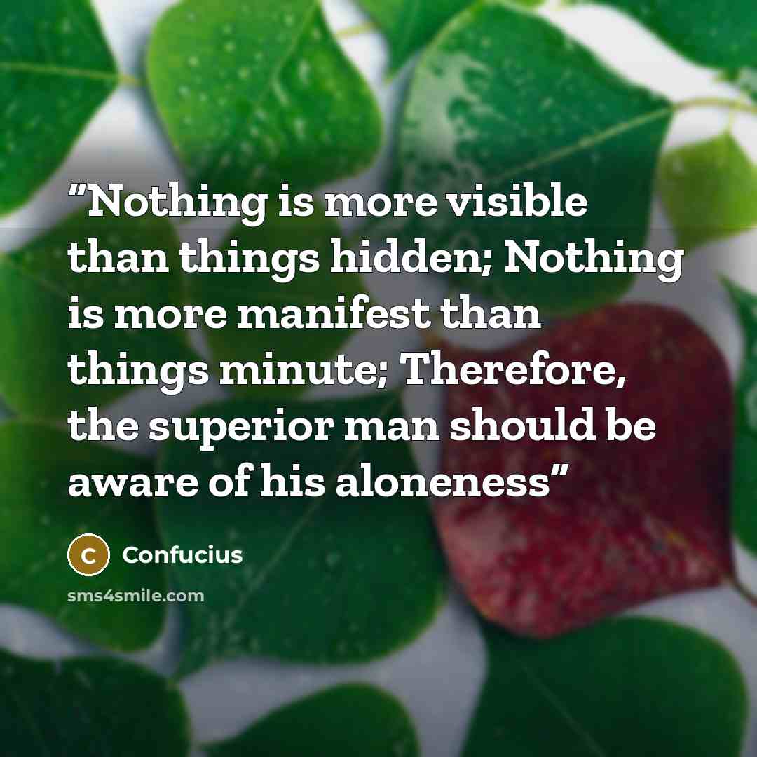 “Nothing is more visible than things hidden; Nothing is more manifest than things minute; Therefore, the superior man should be aware of his aloneness” quote by Confucius