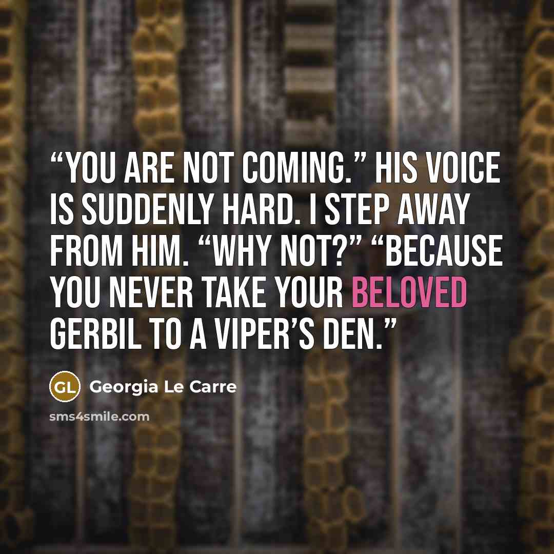 “You are not coming.” His voice is suddenly hard. I step away from him. “Why not?” “Because you never take your beloved gerbil to a viper’s den.” quote by Georgia Le Carre