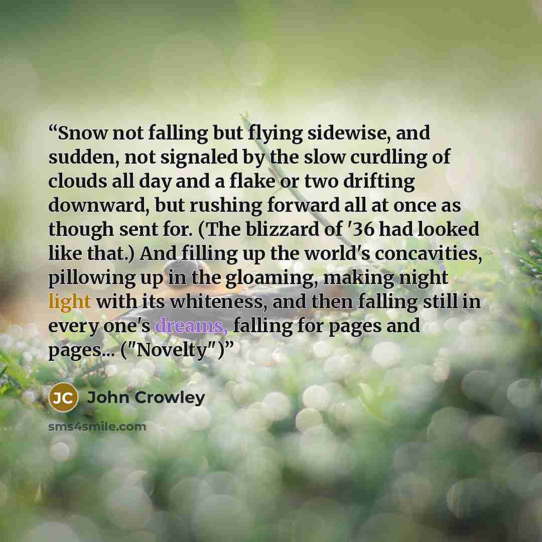 “Snow not falling but flying sidewise, and sudden, not signaled by the slow curdling of clouds all day and a flake or two drifting downward, but rushing forward all at once as though sent for. (The blizzard of '36 had looked like that.) And filling up the world's concavities, pillowing up in the…” quote by John Crowley