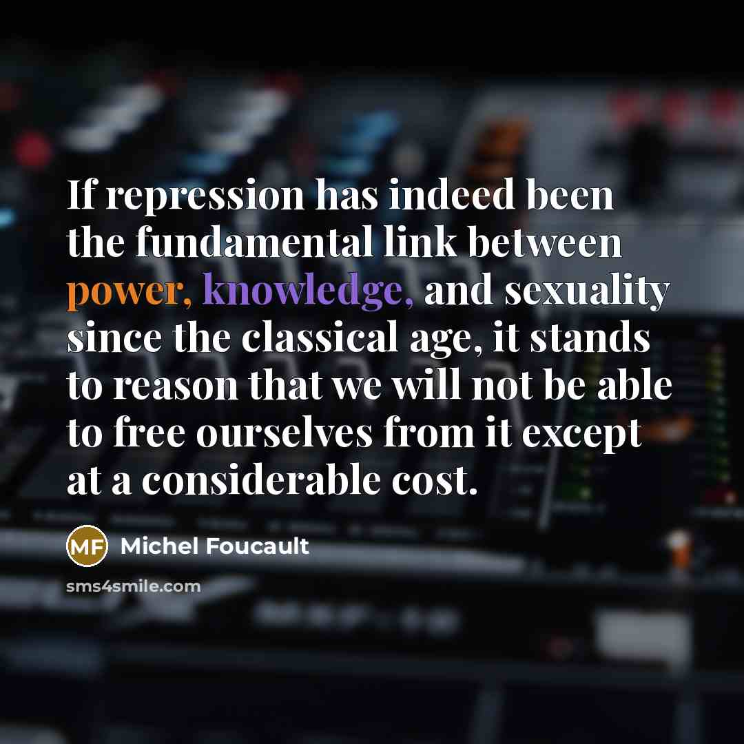 “If repression has indeed been the fundamental link between power, knowledge, and sexuality since the classical age, it stands to reason that we will not be able to free ourselves from it except at a considerable cost.” quote by Michel Foucault