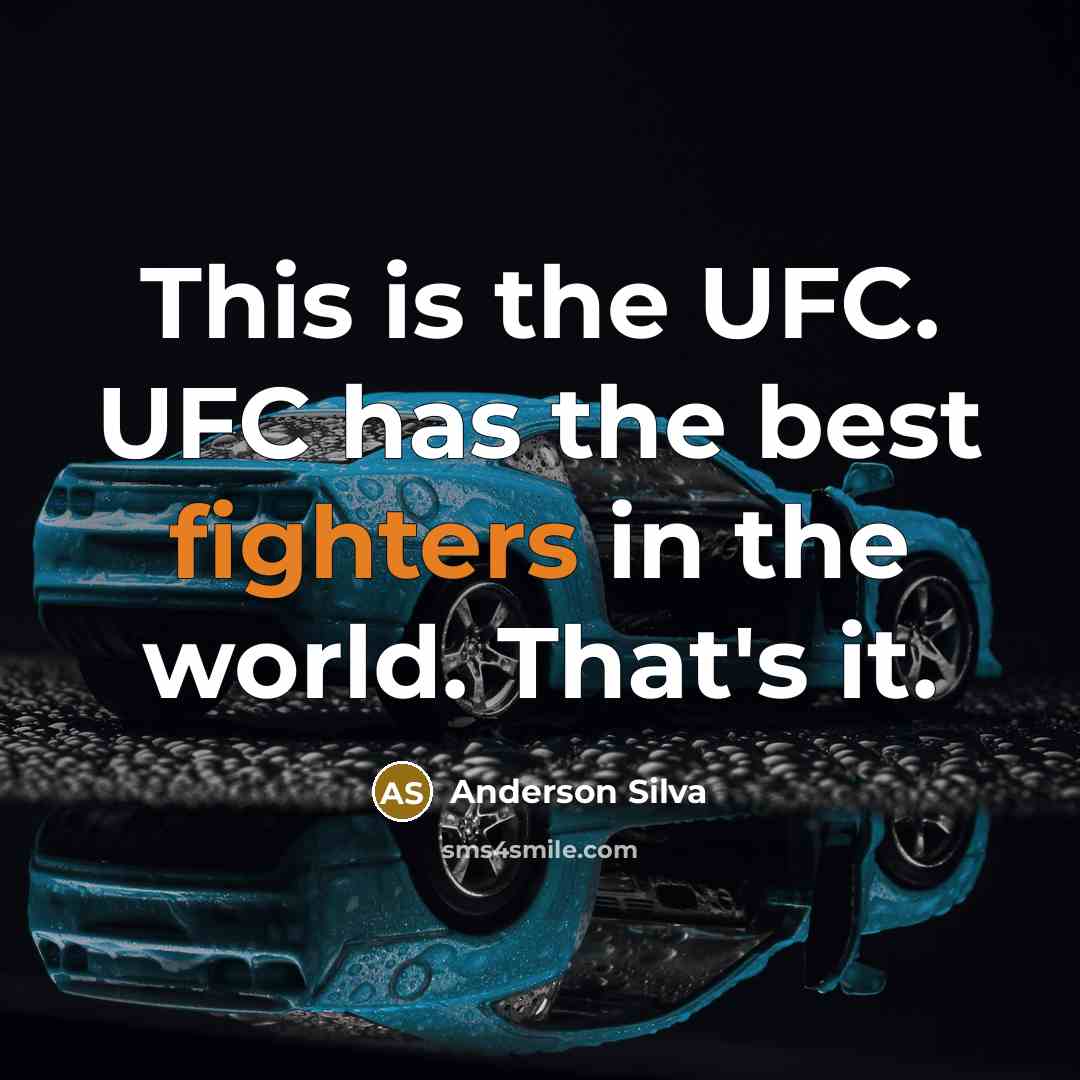 “This is the UFC. UFC has the best fighters in the world. That's it.” quote by Anderson Silva