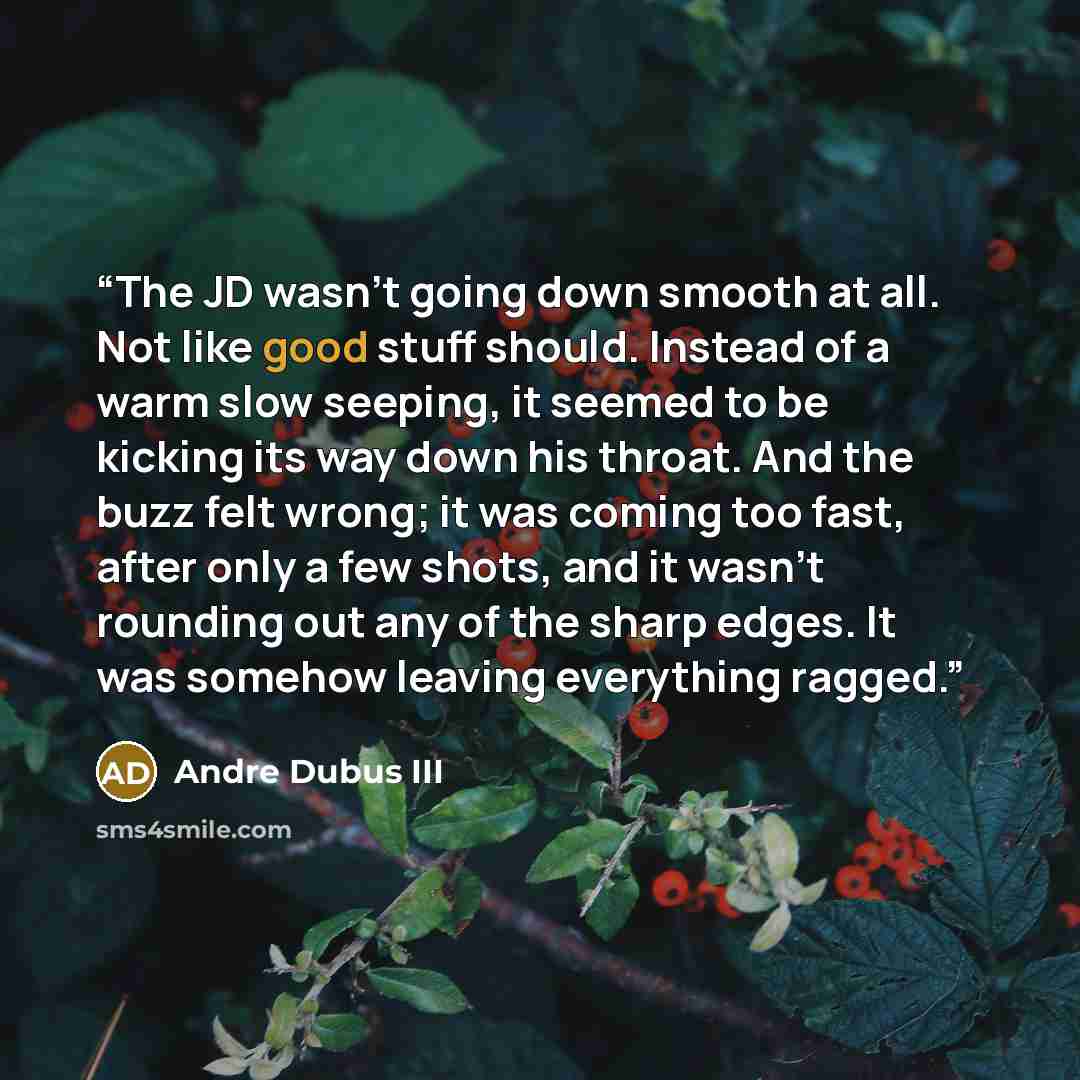 “The JD wasn't going down smooth at all. Not like good stuff should. Instead of a warm slow seeping, it seemed to be kicking its way down his throat. And the buzz felt wrong; it was coming too fast, after only a few shots, and it wasn't rounding out any of the sharp edges. It was somehow leaving…” quote by Andre Dubus III