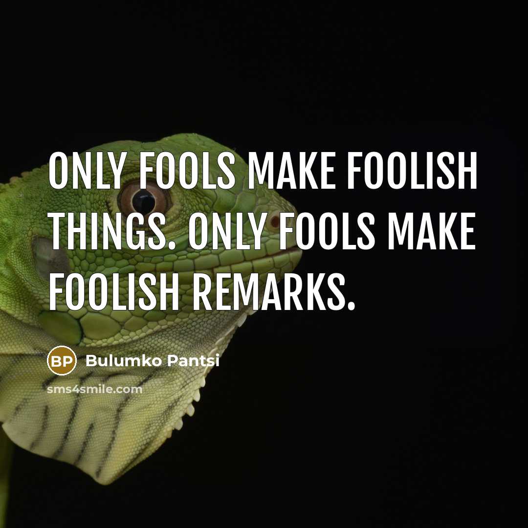“Only fools make foolish things. Only fools make foolish remarks.” quote by Bulumko Pantsi