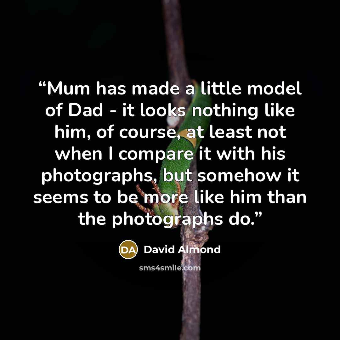 “Mum has made a little model of Dad - it looks nothing like him, of course, at least not when I compare it with his photographs, but somehow it seems to be more like him than the photographs do.” quote by David Almond
