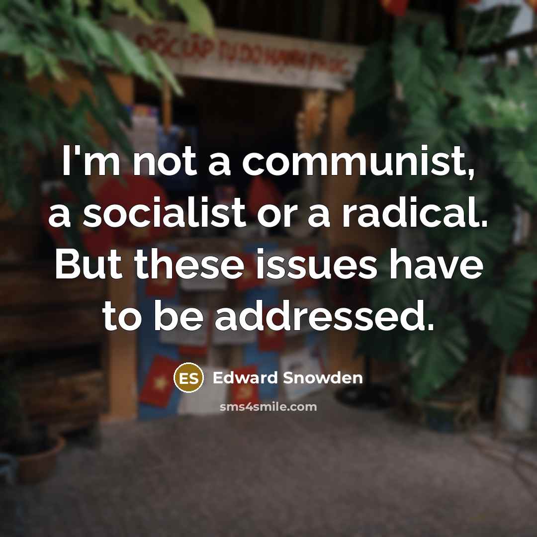 “I'm not a communist, a socialist or a radical. But these issues have to be addressed.” quote by Edward Snowden