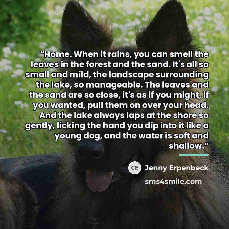 “Home. When it rains, you can smell the leaves in the forest and the sand. It's all so small and mild, the landscape surrounding the lake, so manageable. The leaves and the sand are so close, it's as if you might, if you wanted, pull them on over your head. And the lake always laps at the shore so…” quote by Jenny Erpenbeck