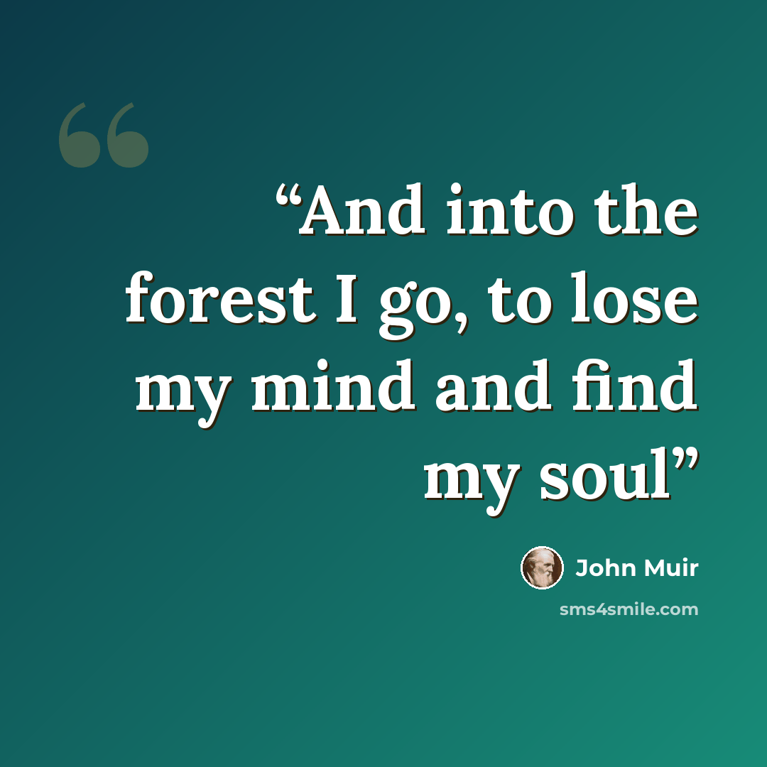“And into the forest I go, to lose my mind and find my soul” quote by John Muir