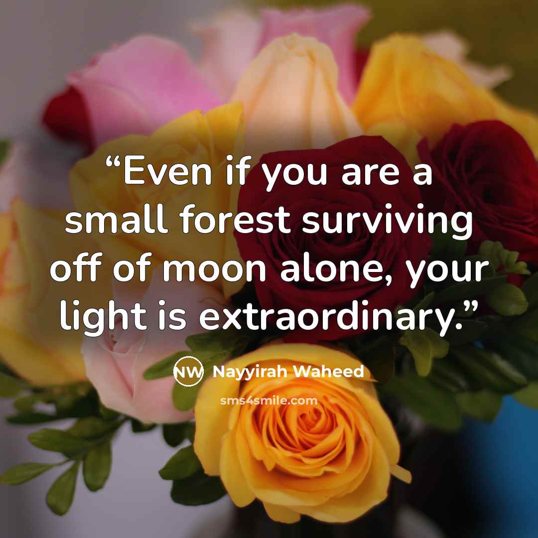 “Even if you are a small forest surviving off of moon alone, your light is extraordinary.” quote by Nayyirah Waheed