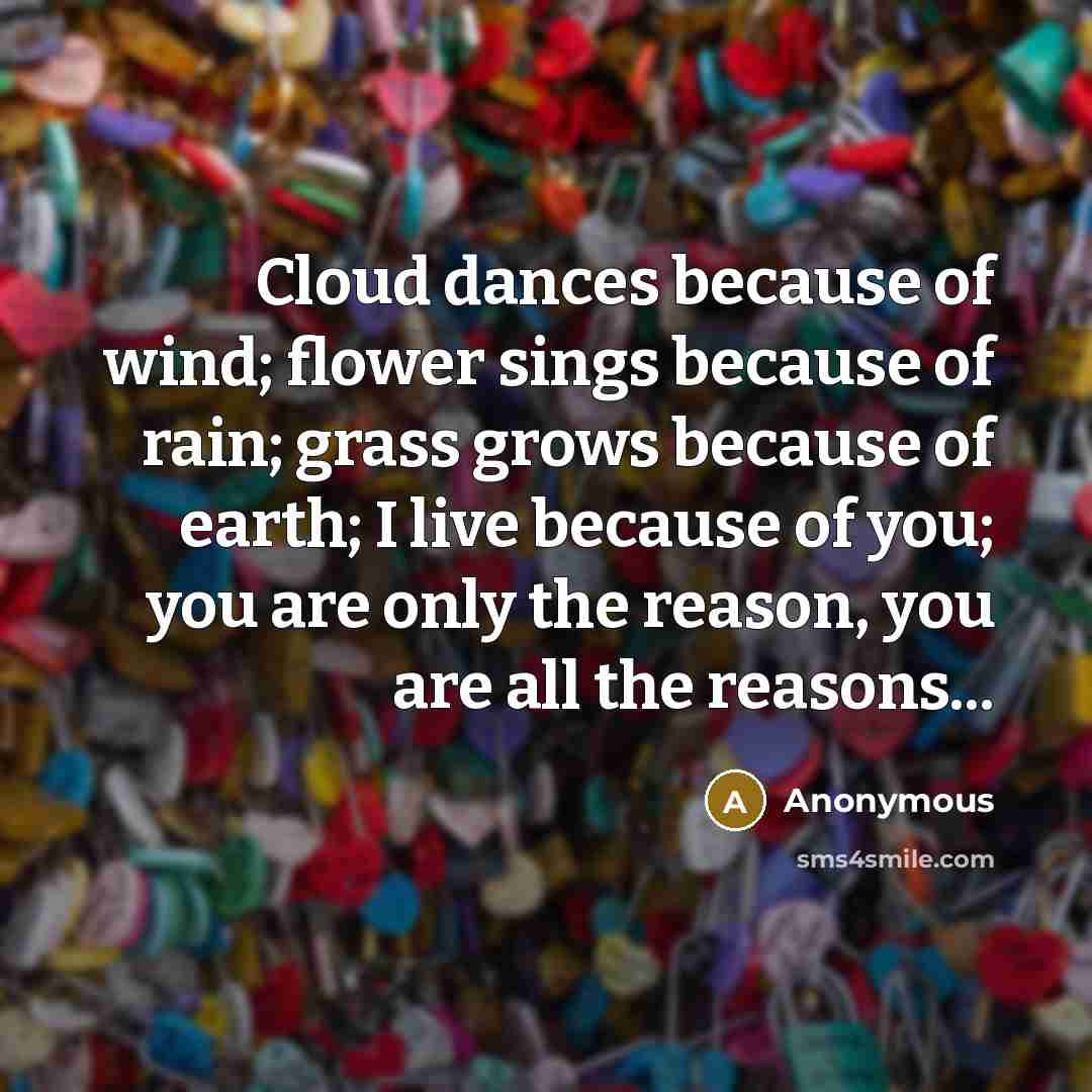 “Cloud dances because of wind; flower sings because of rain; grass grows because of earth; I live because of you; you are only the reason, you are all the reasons...” quote by Anonymous