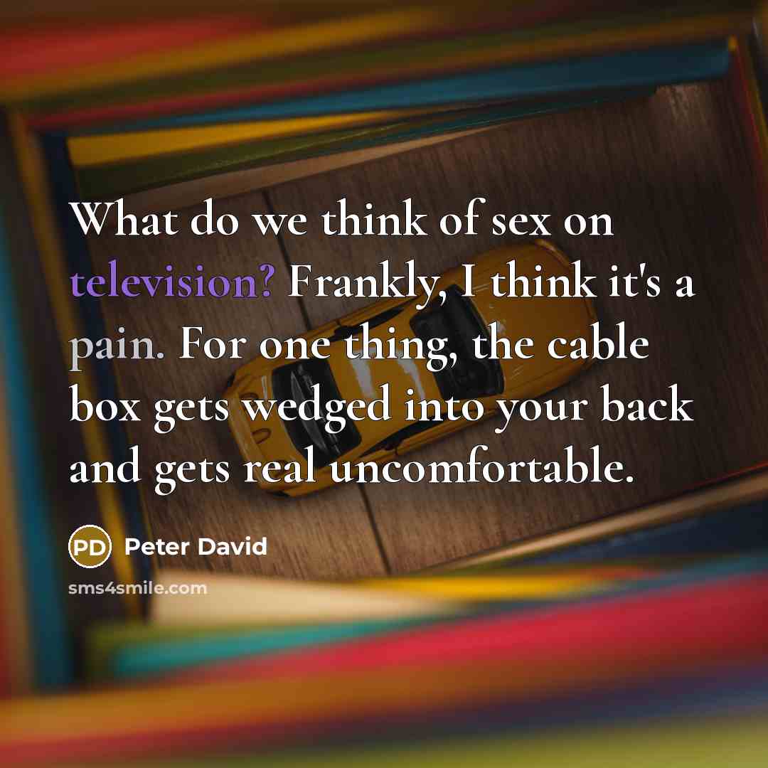 “What do we think of sex on television? Frankly, I think it's a pain. For one thing, the cable box gets wedged into your back and gets real uncomfortable.” quote by Peter David