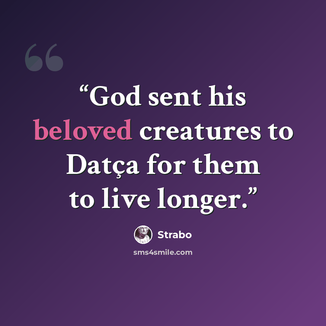“God sent his beloved creatures to Datça for them to live longer.” quote by Strabo