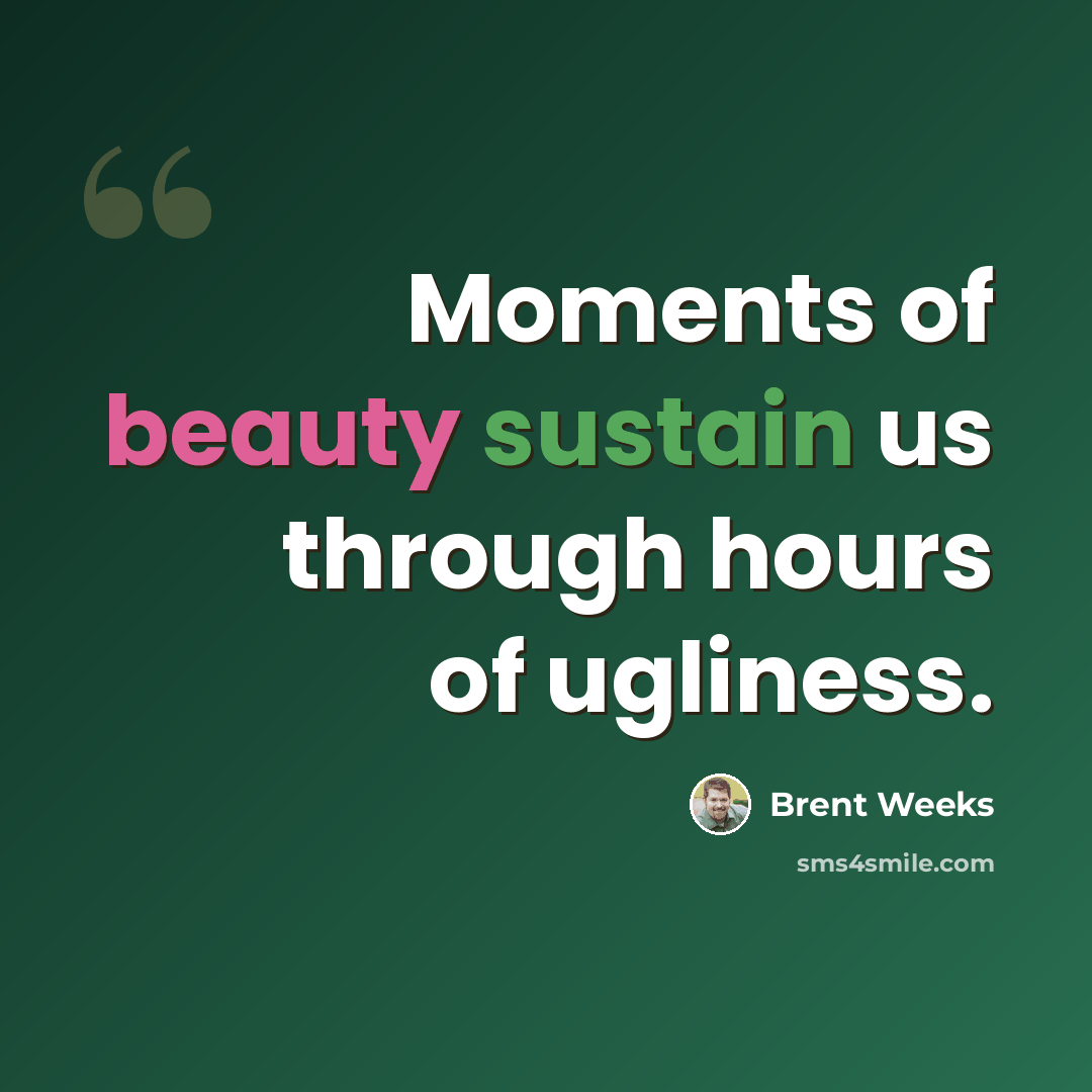“Moments of beauty sustain us through hours of ugliness.” quote by Brent Weeks