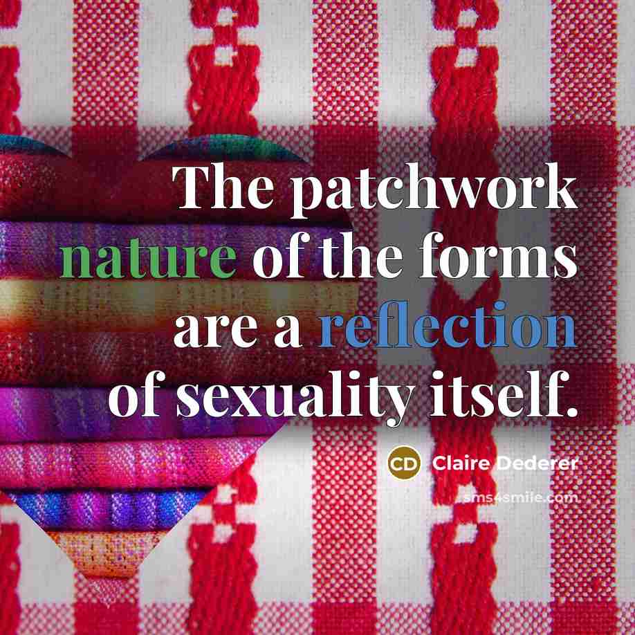 “The patchwork nature of the forms are a reflection of sexuality itself.” quote by Claire Dederer