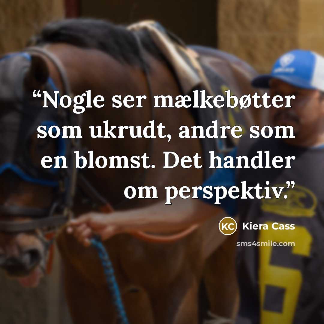 “Nogle ser mælkebøtter som ukrudt, andre som en blomst. Det handler om perspektiv.” quote by Kiera Cass