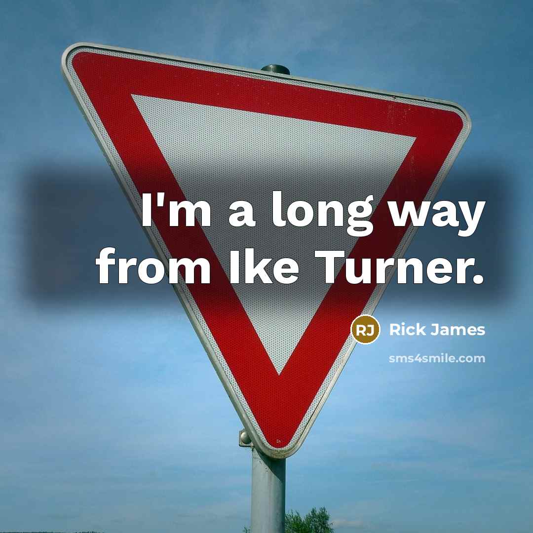 “I'm a long way from Ike Turner.” quote by Rick James