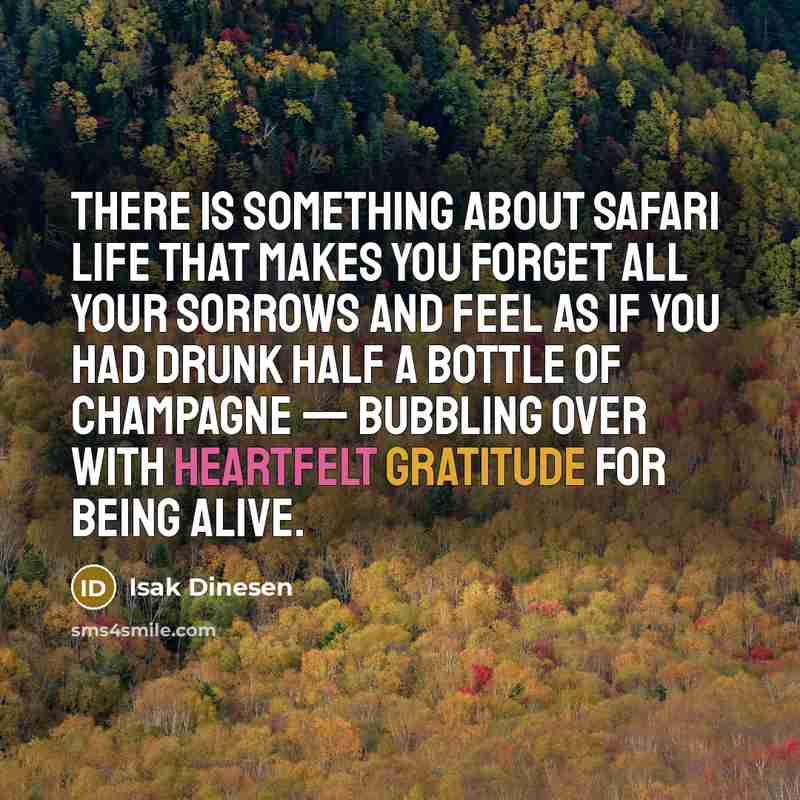 “There is something about safari life that makes you forget all your sorrows and feel as if you had drunk half a bottle of champagne — bubbling over with heartfelt gratitude for being alive.” quote by Isak Dinesen