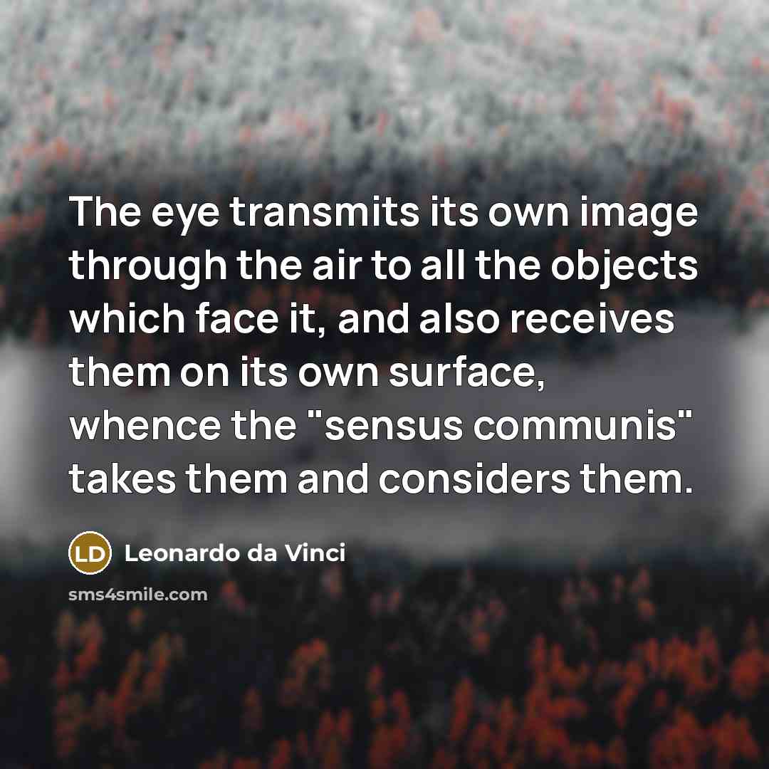 “The eye transmits its own image through the air to all the objects which face it, and also receives them on its own surface, whence the "sensus communis" takes them and considers them.” quote by Leonardo da Vinci