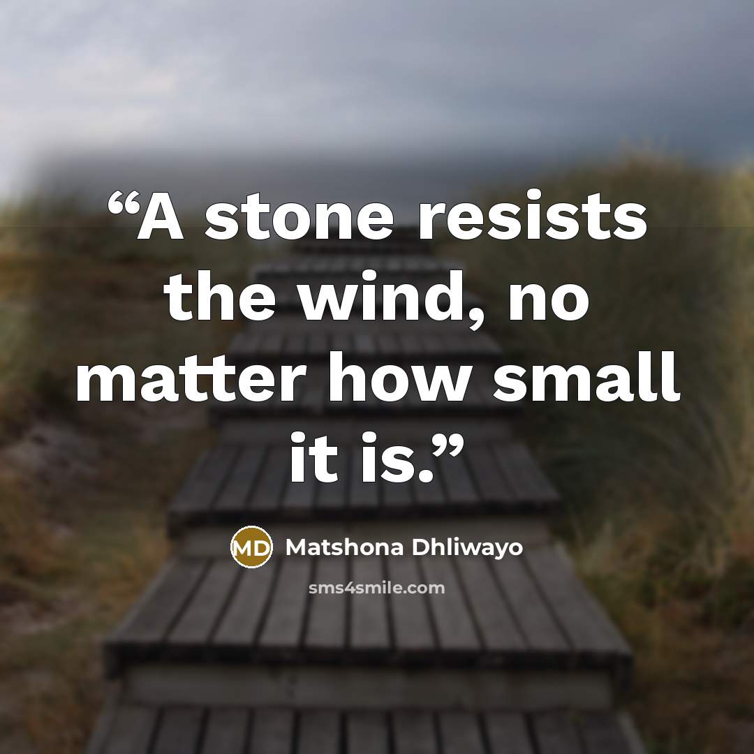 “A stone resists the wind, no matter how small it is.” quote by Matshona Dhliwayo