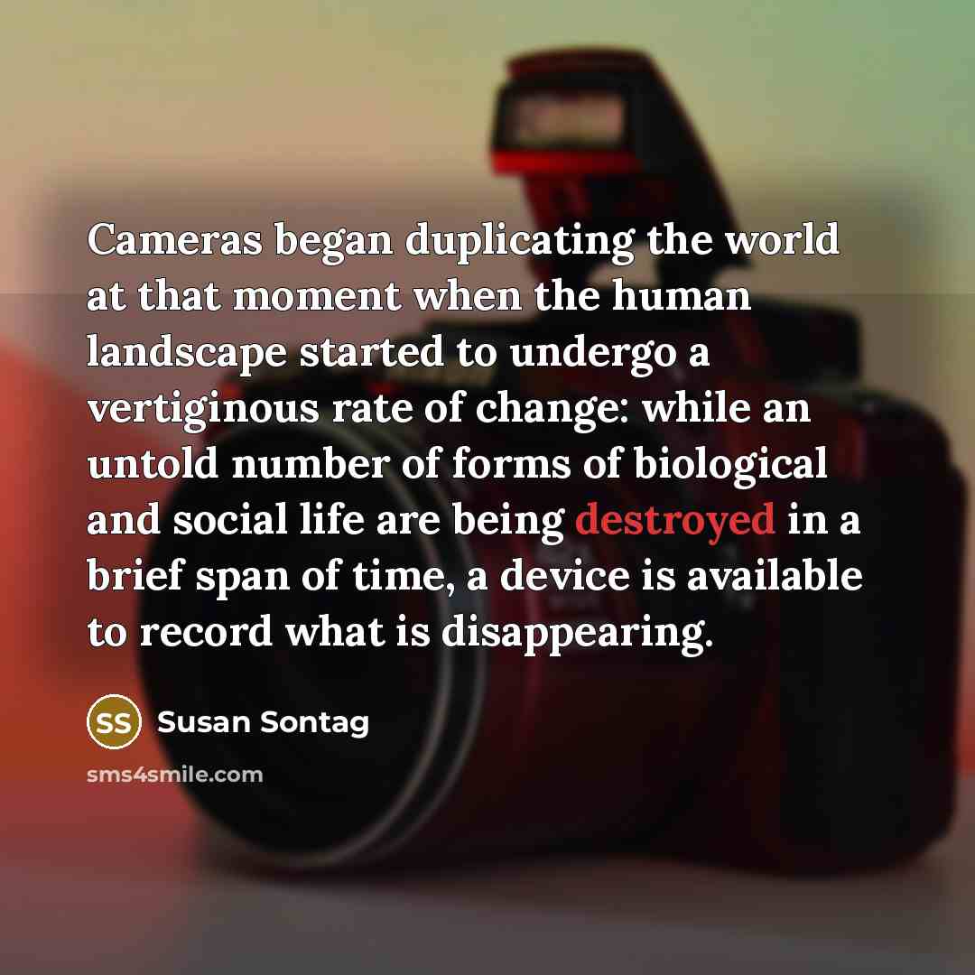 “Cameras began duplicating the world at that moment when the human landscape started to undergo a vertiginous rate of change: while an untold number of forms of biological and social life are being destroyed in a brief span of time, a device is available to record what is disappearing.” quote by Susan Sontag