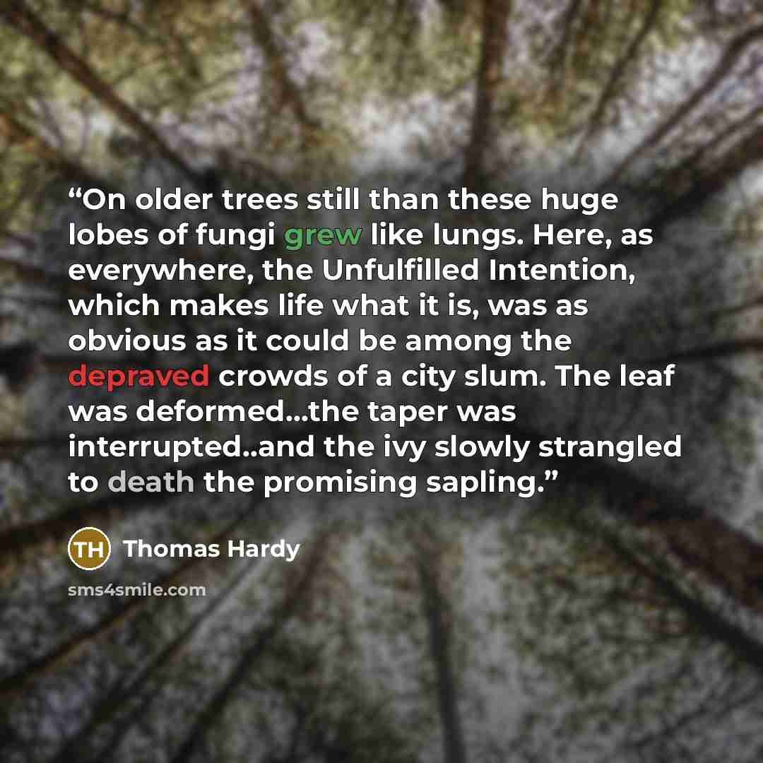 “On older trees still than these huge lobes of fungi grew like lungs. Here, as everywhere, the Unfulfilled Intention, which makes life what it is, was as obvious as it could be among the depraved crowds of a city slum. The leaf was deformed…the taper was interrupted..and the ivy slowly strangled to…” quote by Thomas Hardy
