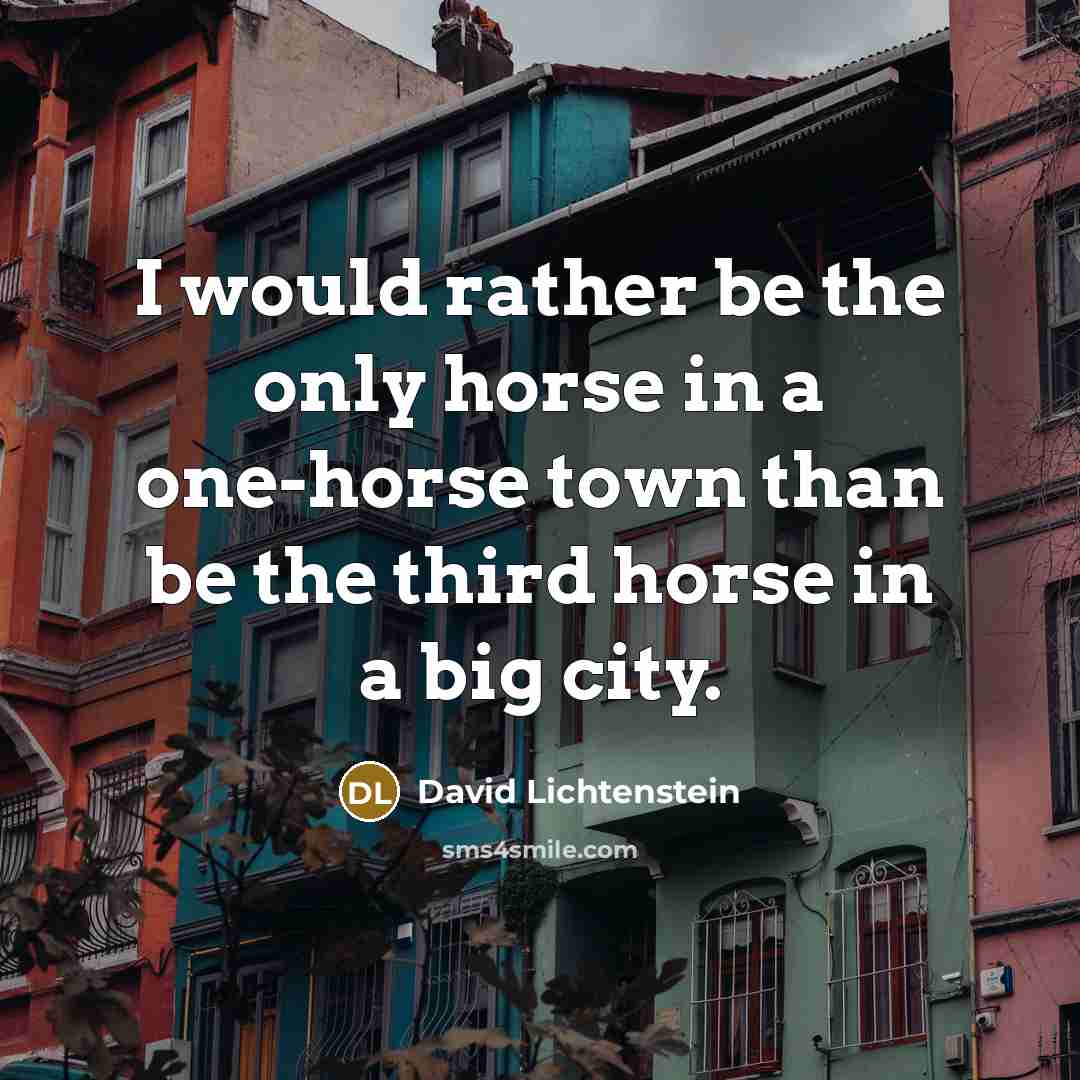 “I would rather be the only horse in a one-horse town than be the third horse in a big city.” quote by David Lichtenstein