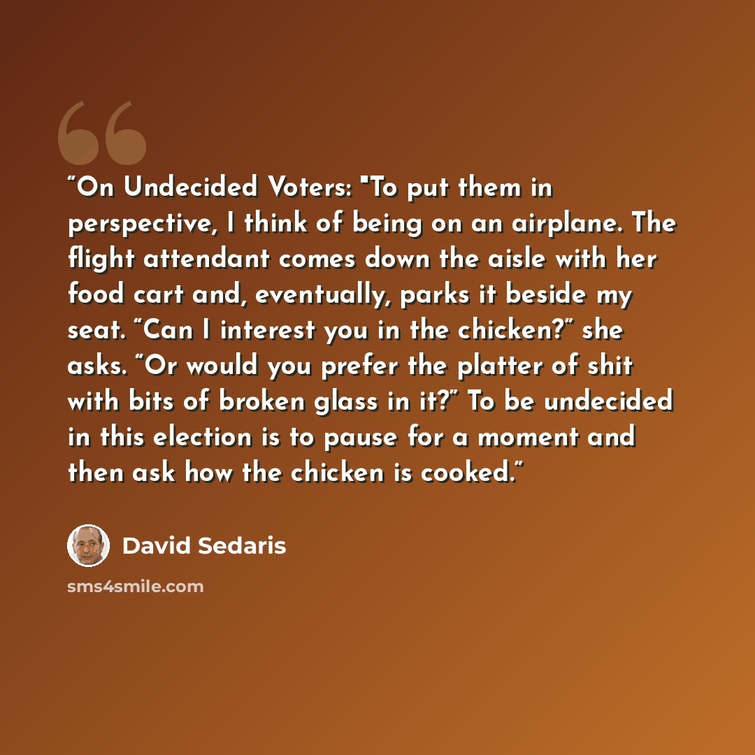 “On Undecided Voter​s: "To put them in perspective, I think​ of being​ on an airplane.​ The flight attendant comes​ down the aisle​ with her food cart and, eventually,​ parks​ it beside my seat.​ “Can I inter​est you in the chick​en?​” she asks.​ “Or would​ you prefer the platter of shit with bits…” quote by David Sedaris