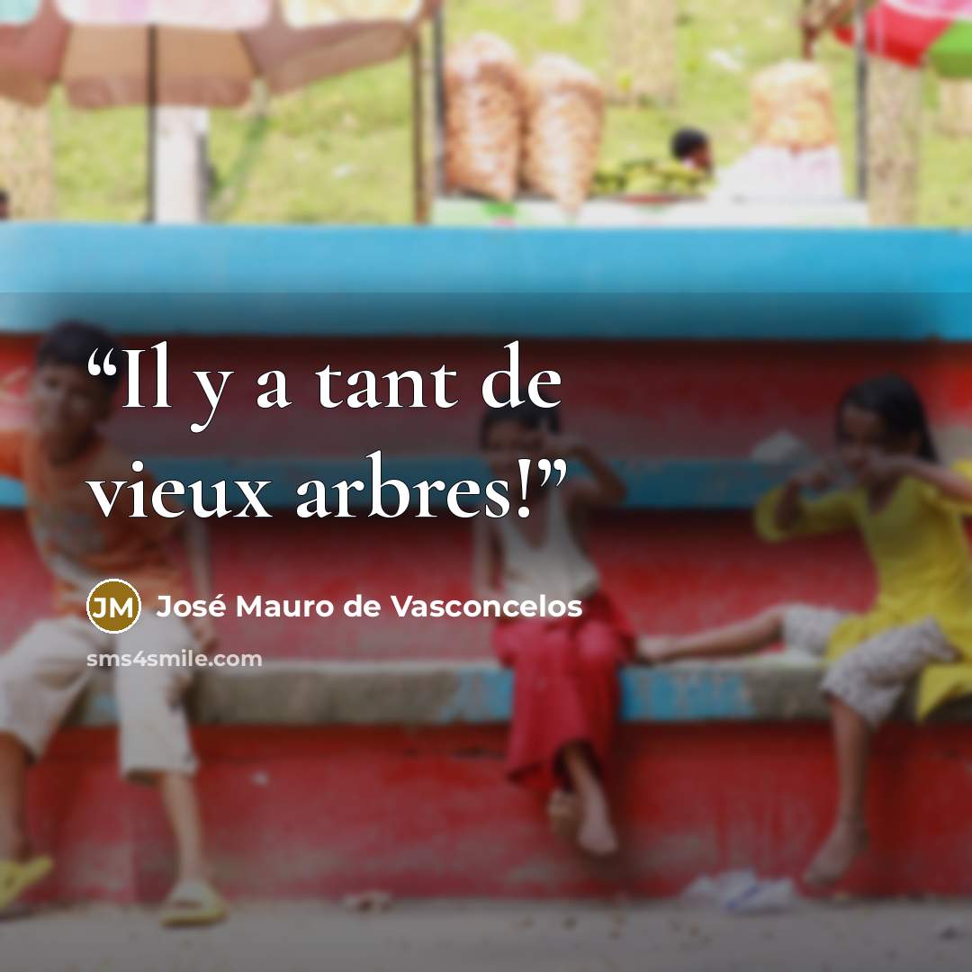 “Il y a tant de vieux arbres!” quote by José Mauro de Vasconcelos