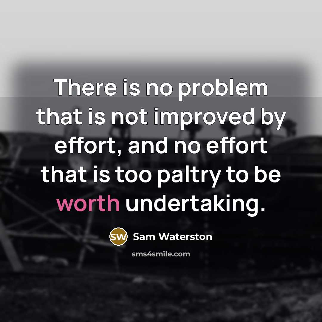 “There is no problem that is not improved by effort, and no effort that is too paltry to be worth undertaking.” quote by Sam Waterston