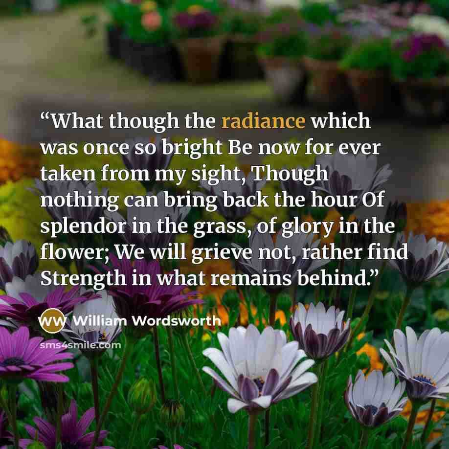 “What though the radiance which was once so bright Be now for ever taken from my sight, Though nothing can bring back the hour Of splendor in the grass, of glory in the flower; We will grieve not, rather find Strength in what remains behind.” quote by William Wordsworth