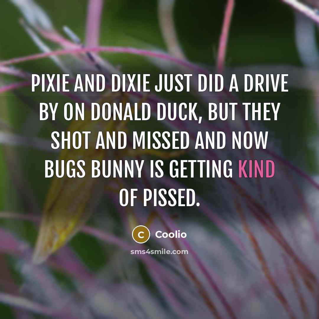 “Pixie and Dixie just did a drive by on Donald Duck, but they shot and missed and now Bugs Bunny is getting kind of pissed.” quote by Coolio