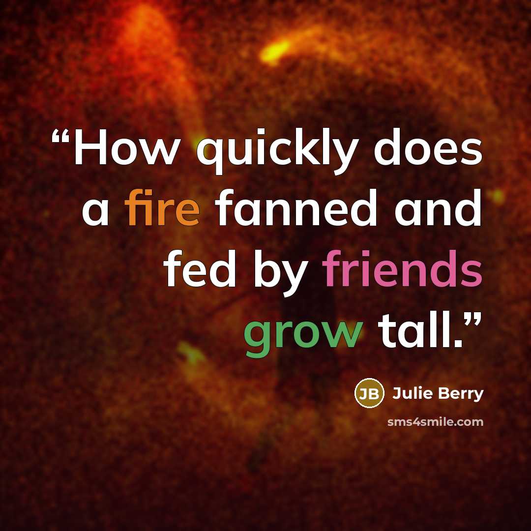 “How quickly does a fire fanned and fed by friends grow tall.” quote by Julie Berry