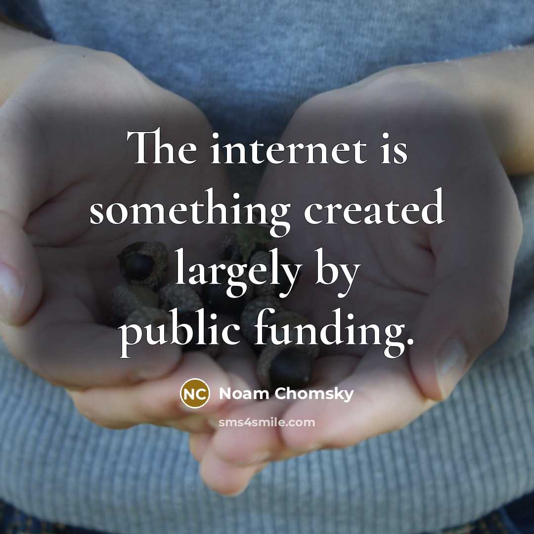 “The internet is something created largely by public funding.” quote by Noam Chomsky