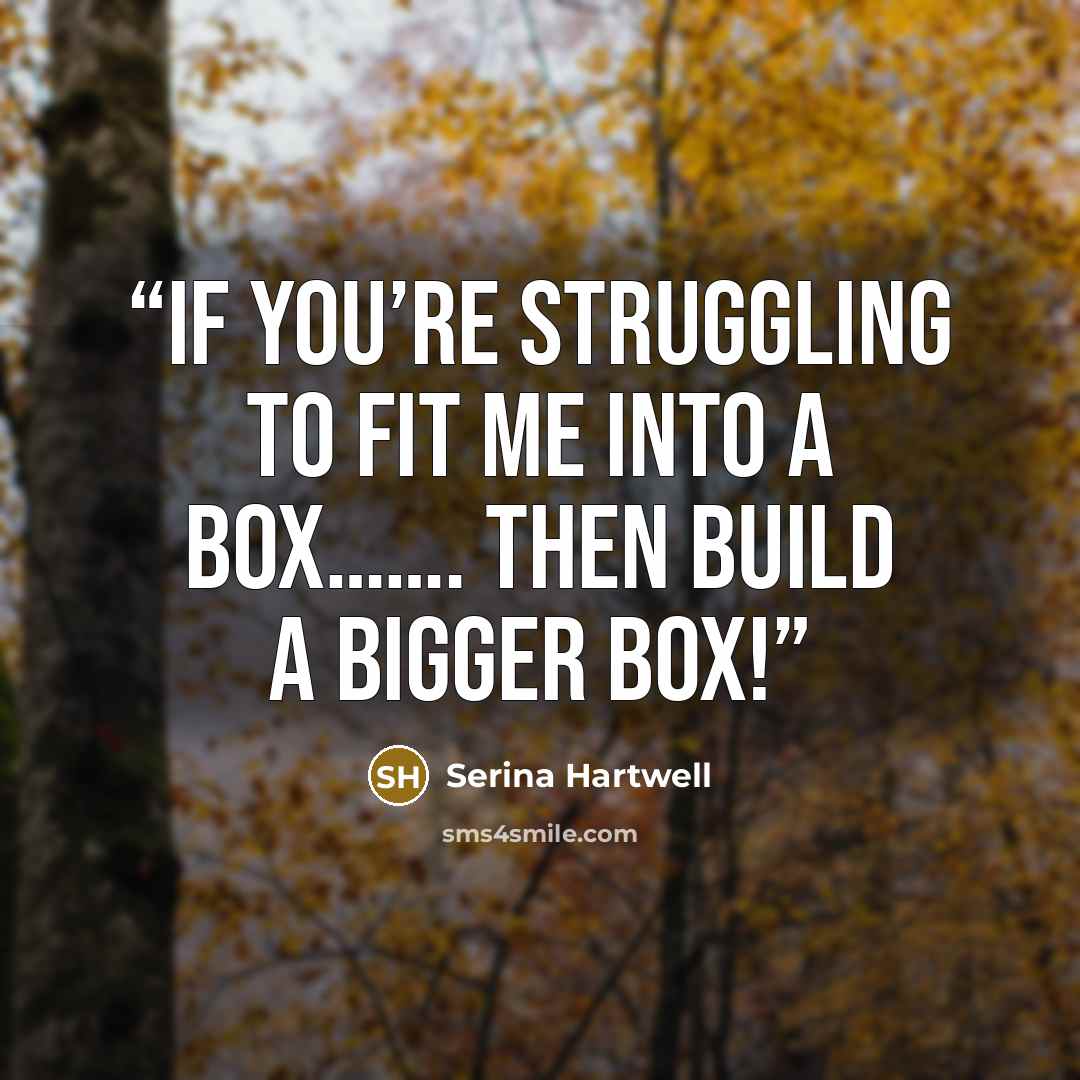 “If you’re struggling to fit me into a box……. Then build a bigger box!” quote by Serina Hartwell