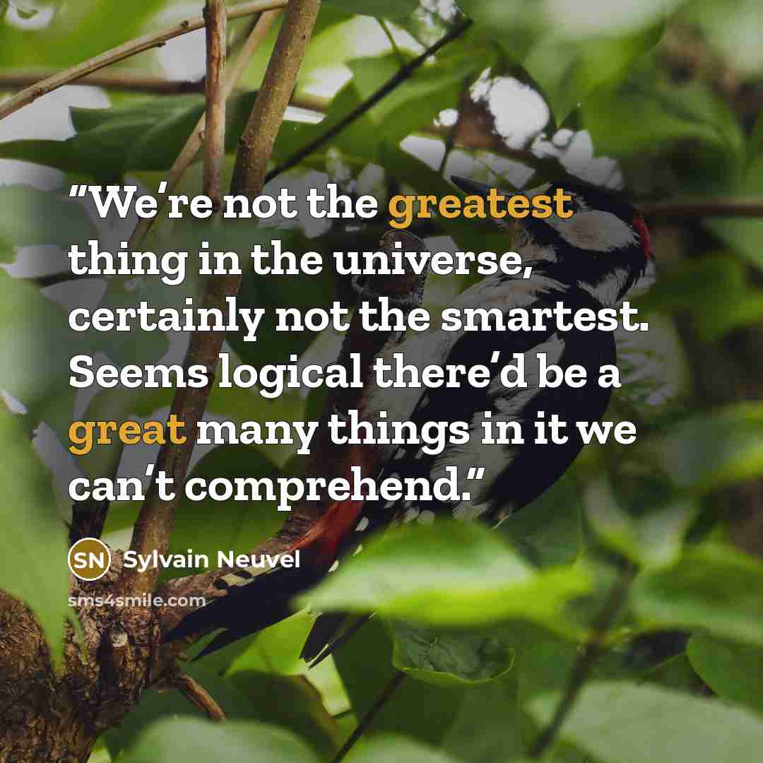 “We’re not the greatest thing in the universe, certainly not the smartest. Seems logical there’d be a great many things in it we can’t comprehend.” quote by Sylvain Neuvel