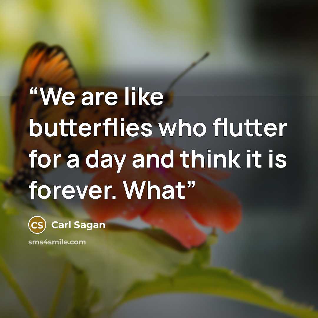“We are like butterflies who flutter for a day and think it is forever. What” quote by Carl Sagan