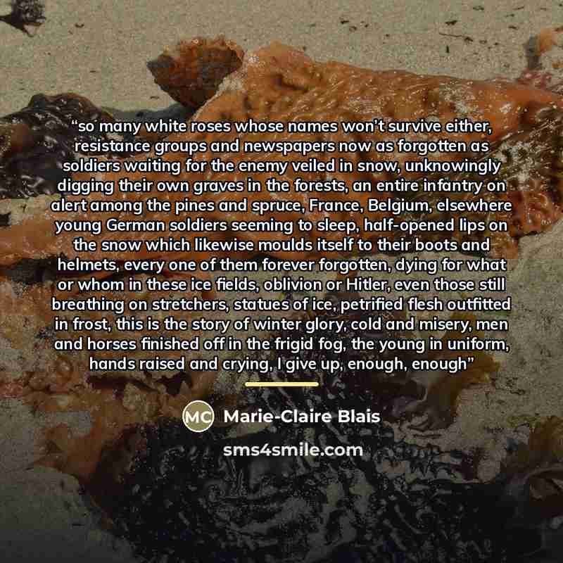 “so many white roses whose names won’t survive either, resistance groups and newspapers now as forgotten as soldiers waiting for the enemy veiled in snow, unknowingly digging their own graves in the forests, an entire infantry on alert among the pines and spruce, France, Belgium, elsewhere young…” quote by Marie-Claire Blais
