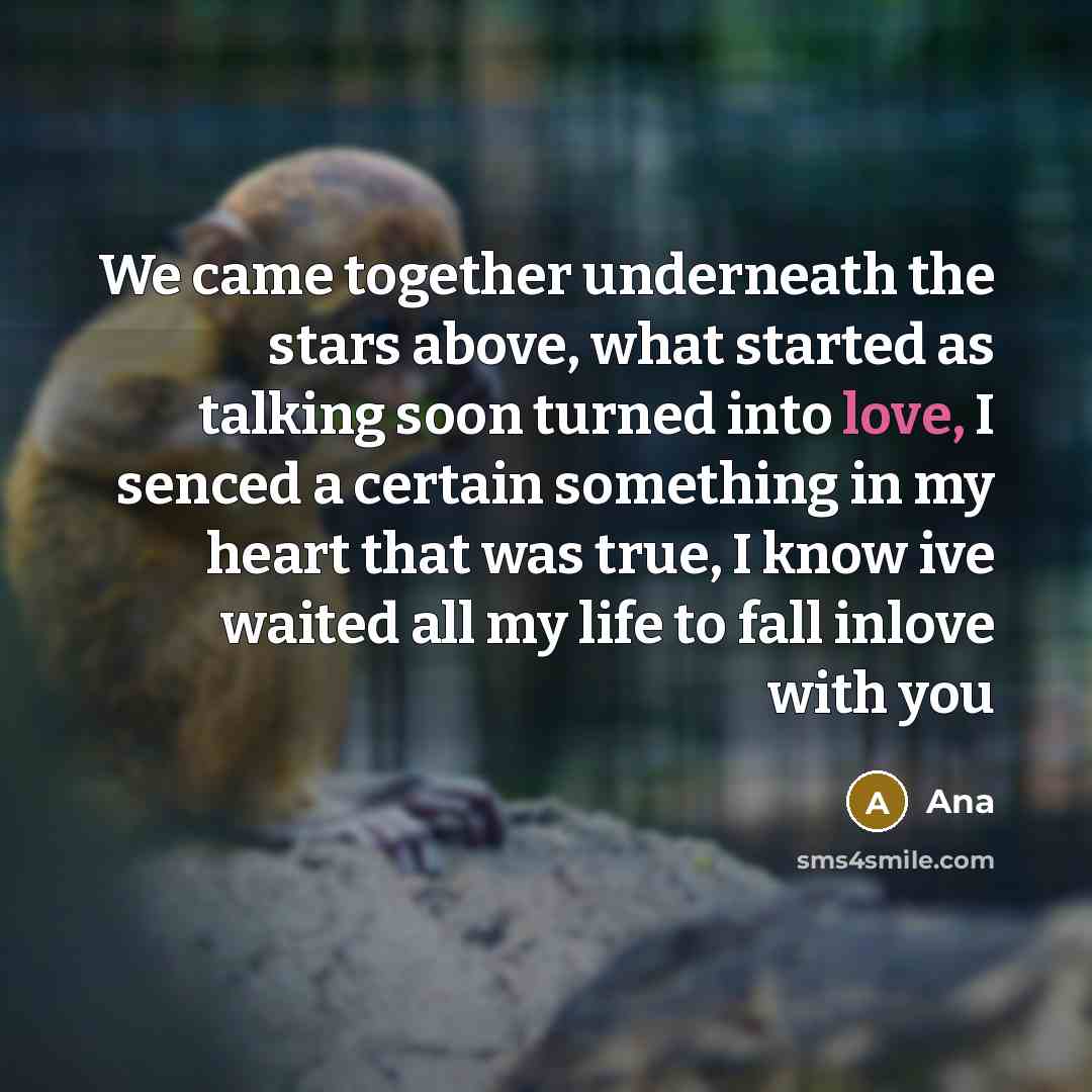“We came together underneath the stars above, what started as talking soon turned into love, I senced a certain something in my heart that was true, I know ive waited all my life to fall inlove with you” quote by Ana