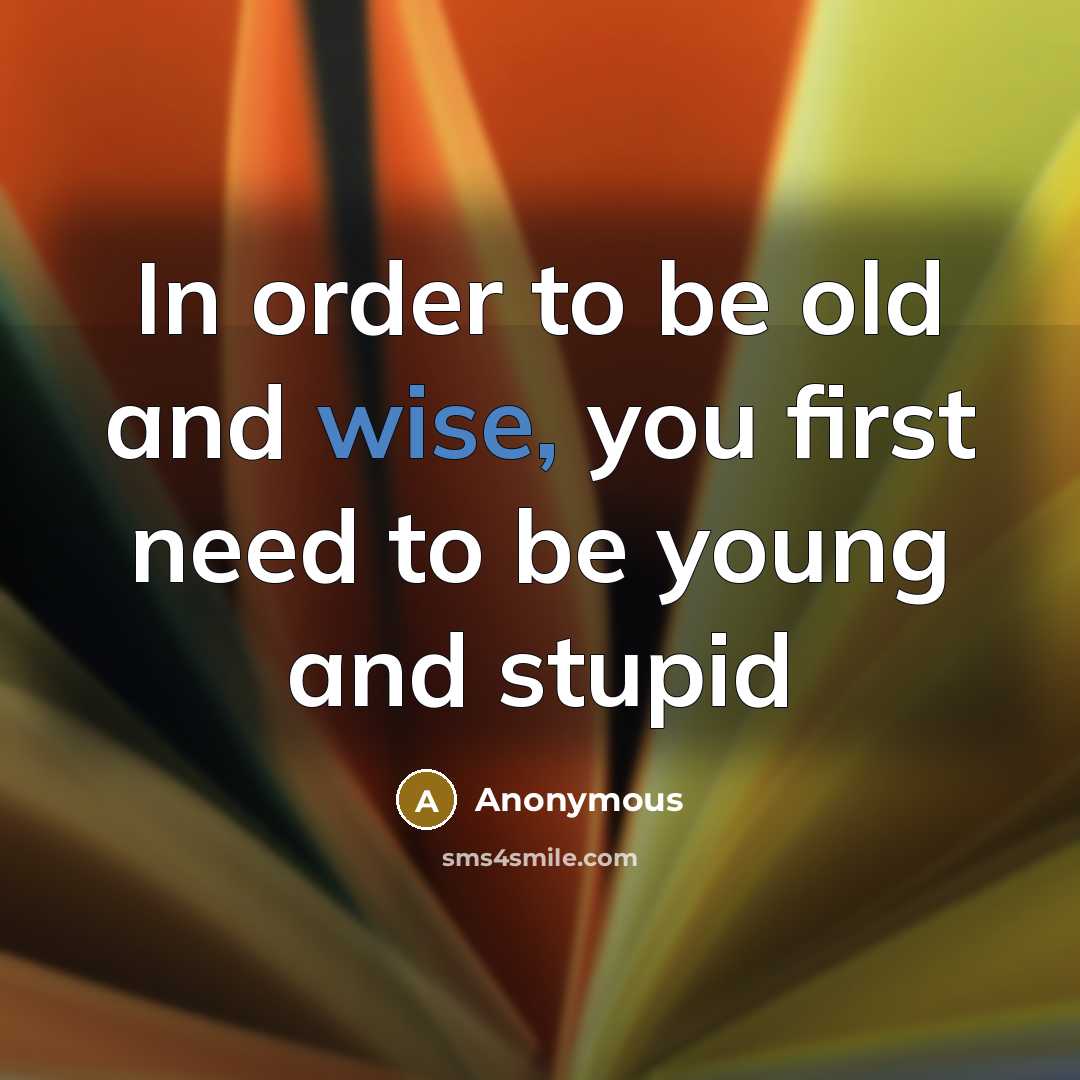 “In order to be old and wise, you first need to be young and stupid” quote by Anonymous