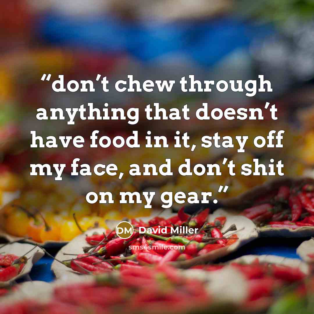 “don’t chew through anything that doesn’t have food in it, stay off my face, and don’t shit on my gear.” quote by David Miller