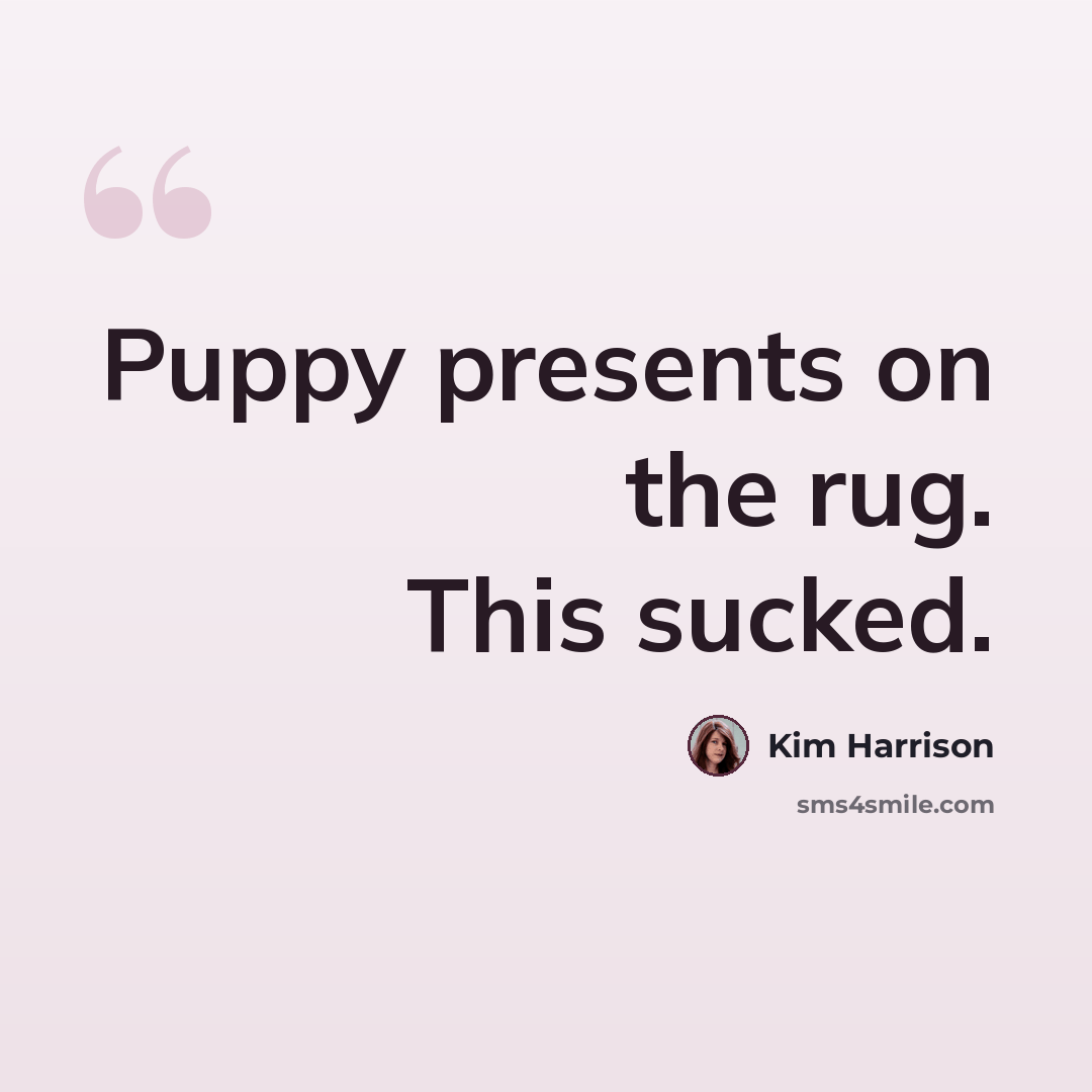 “Puppy presents on the rug. This sucked.” quote by Kim Harrison